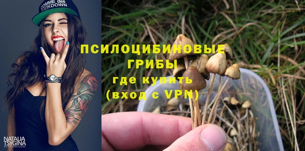 прущий лед Липки