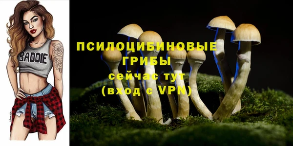 мескалин Лихославль